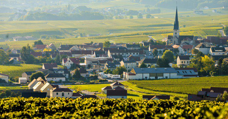 Marne, France (Istock)