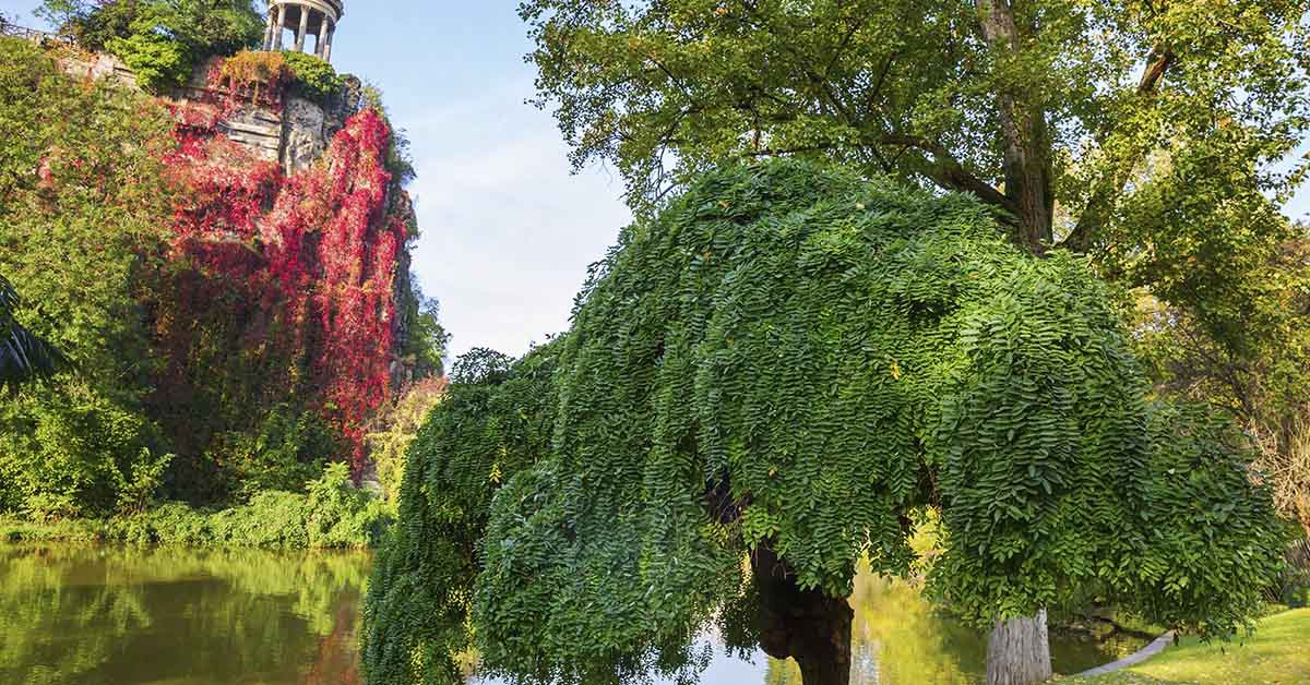 Parc Buttes-Chaumont (iStock)