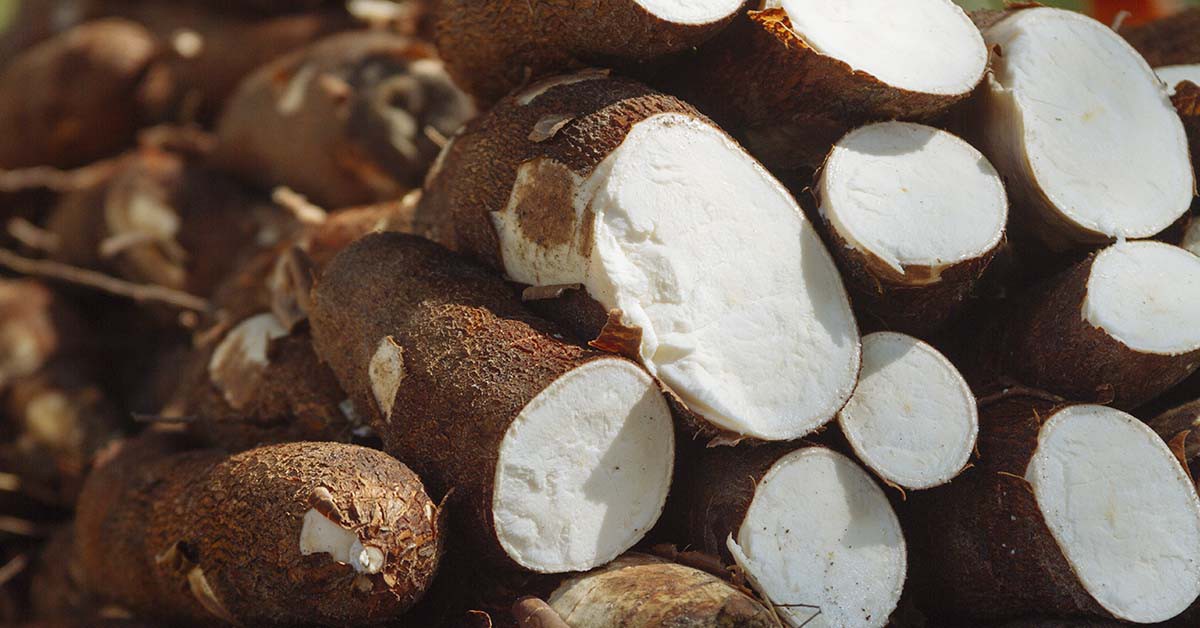 Manioc (iStock)