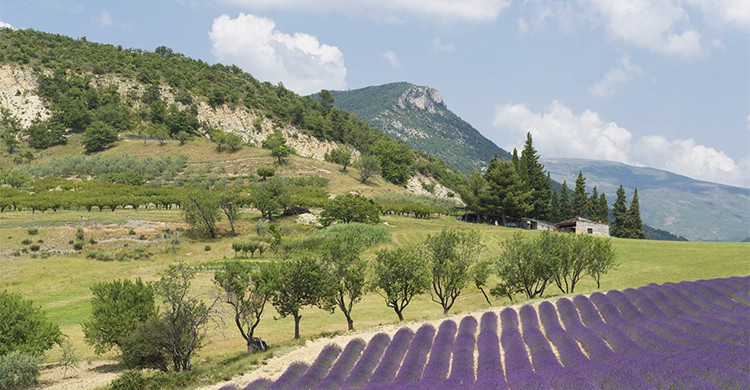 Département de la Drôme (Istock)