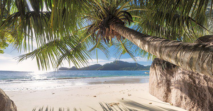Vue sur une plage paradisiaque (Istock)