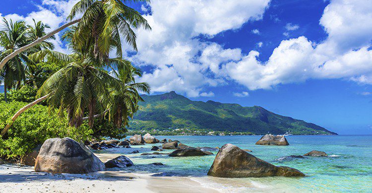Vue sur une plage paradisiaque des Seychelles (Istock)