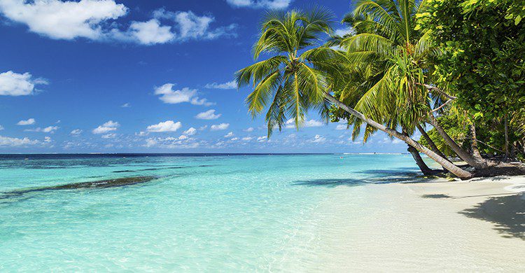 Vue sur une plage paradisiaque (Istock)