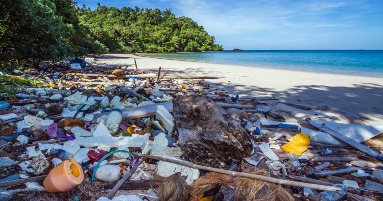 Sigue leyendo Pollution des plages et océans : les nouveaux dépotoirs