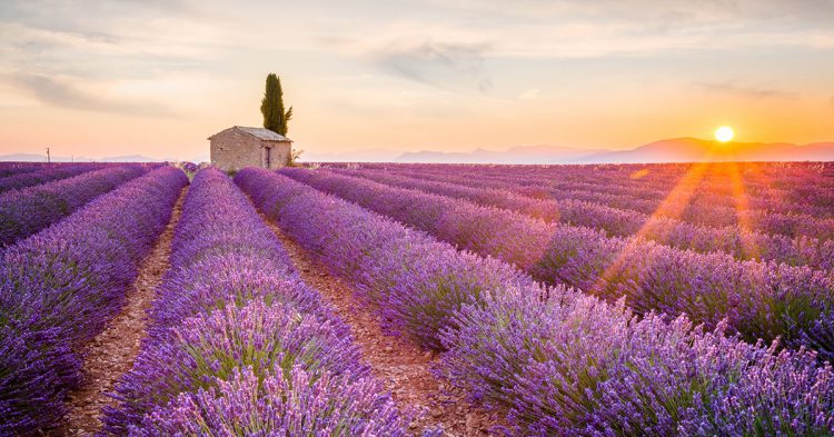 Sigue leyendo Quelle est la plus belle région de France ?