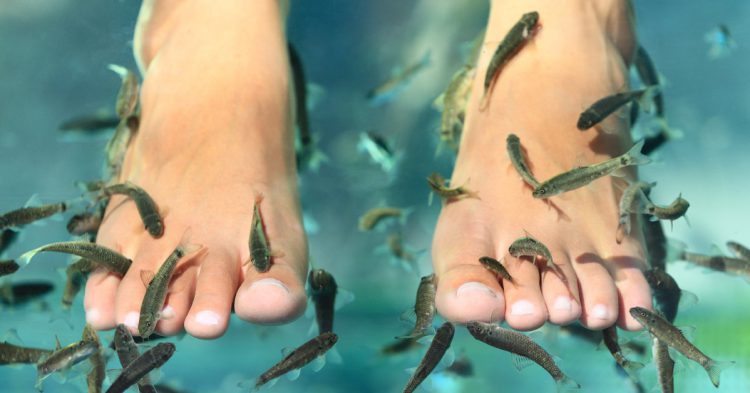 Sigue leyendo Fish pedicure : amputée des orteils après un voyage en Thaïlande