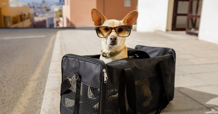 Sigue leyendo Quels sont les objets interdits en cabine ?