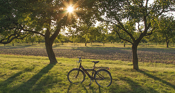 Avec le vélo, voyagez vert et au grand air – Unsplash 